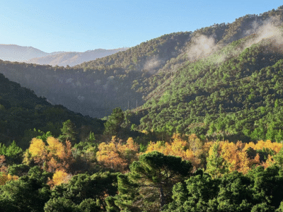 Stonepine Estate – Carmel Valley, CA
